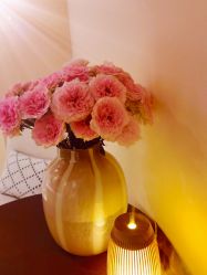 -尊尚柏丽美容SPA