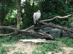 -清迈夜间动物园