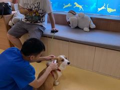 -芭比堂动物医院·犬猫全科·异宠专科(雁塔分院)