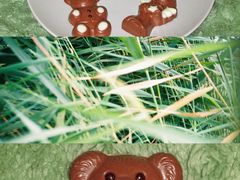 -Laderach 莱德拉(上海环贸iapm店)