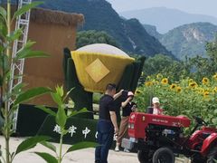 -妙峰山风景名胜区