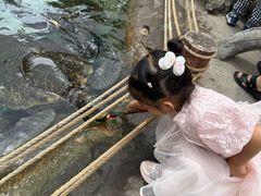 -海合安成都极地海洋公园