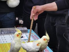 -董顺桃小粒臭豆腐(太平街一店)