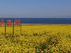 -青海湖国家重点风景名胜区