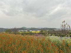-婺源月亮湾