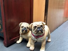 -财神鸡煲(华强北店)