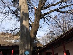 -少华山国家森林公园