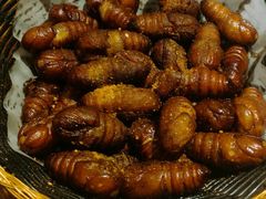 -东北人粗粮饺子坊(南山店)