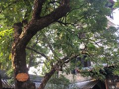 -东莞市可园博物馆