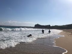 -白沙湾海滩
