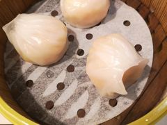 -火齐潮汕砂锅粥(五道口店)