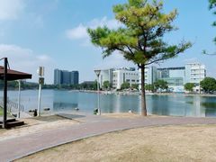 -美兰湖景区