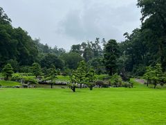 -深圳仙湖植物园
