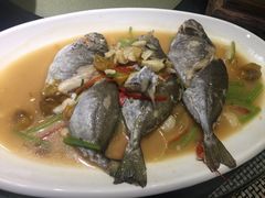 豆酱英歌鱼-茶叁酒肆·楚味江湖(菱角湖店)