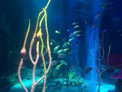 -沈阳海洋探索中心