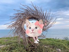 -漳州滨海火山岛自然生态风景区