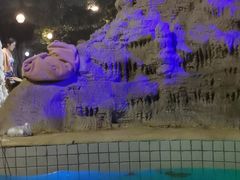 -泉城欧乐堡戏水湾艺术养生温泉