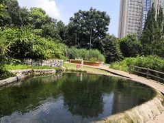 -成都市活水公园