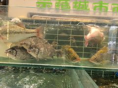 -明丰小渔馆(明月路店)
