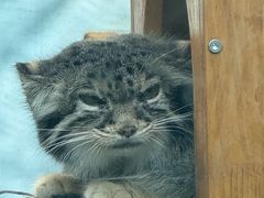 -青藏高原野生动物园