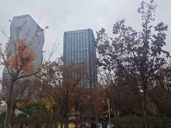 -新虹桥中心花园