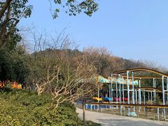 -杭州少年儿童公园