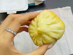传统猪肉包-宝正臻天津包子总店(金阳光居易店)