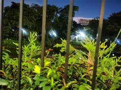 -人民公园(罗湖区)