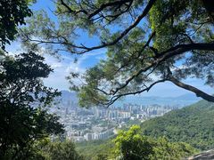 -狮子山郊野公园