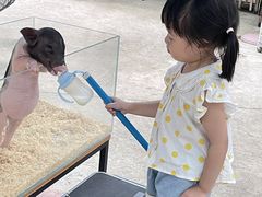 -史努比缤纷世界