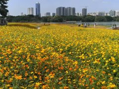 -海珠湖公园
