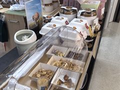 -祥禾饽饽铺·中式糕点(北京来福士店)