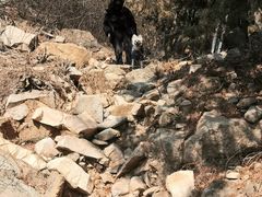 -白水寺森林公园