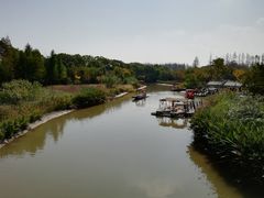 -上海长兴岛郊野公园