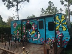 -崇明东平国家森林公园烧烤房车露营地