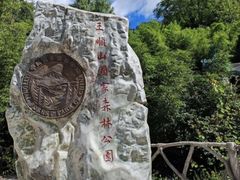 -王顺山国家森林公园
