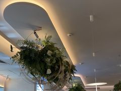 -Aqua Oasis 水天堂(太湖中心mall店)