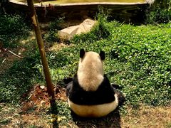 -昆明动物园