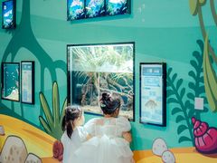 -海合安成都极地海洋公园