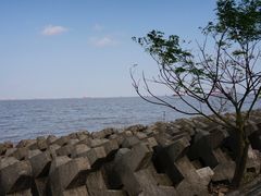 -上海滨江森林公园