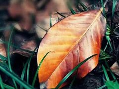 -苏州图书馆(姑苏区分馆)