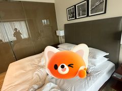 -香港尖沙咀凯悦酒店