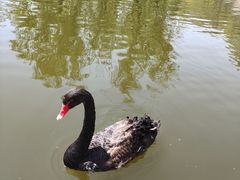 -石家庄市动物园