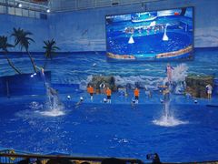 -多彩贵州城极地海洋世界