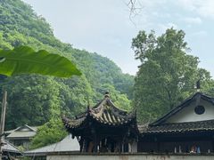 -青城山