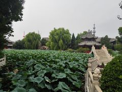 -莲池书院博物馆