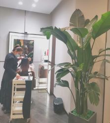 -崇尚GAVIN STYLE臻选