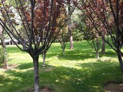 -迎泽公园