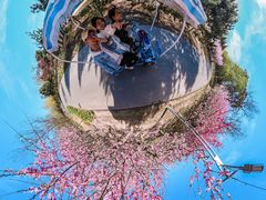 -永定河休闲森林公园