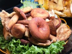 -菌海森林·非遗野生菌火锅(西山区滇池路摩根道店)